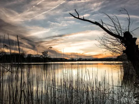  Les jeux d'ambiance pour une soirée de fête costumée