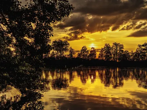  Les meilleures astuces pour animer une soirée jeux d'ambiance