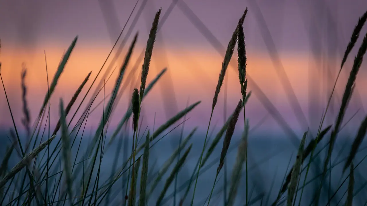 Jeux d'ambiance pour briser la glace