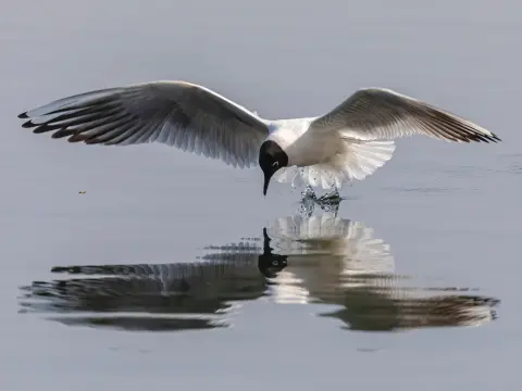  Les jeux de réflexion pour stimuler la communication et la coopération entre deux joueurs