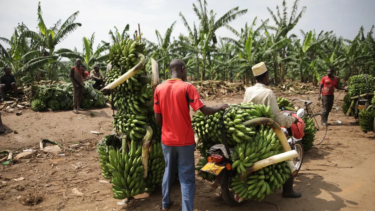 Les jeux de société vintage reviennent