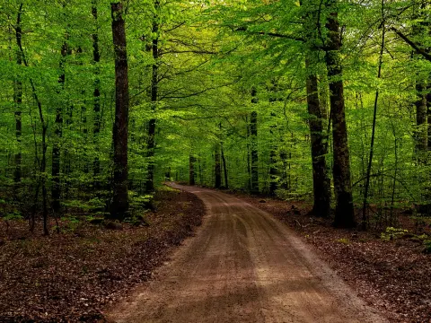  Les jeux d'ambiance qui mettront l'ambiance lors d'un road trip