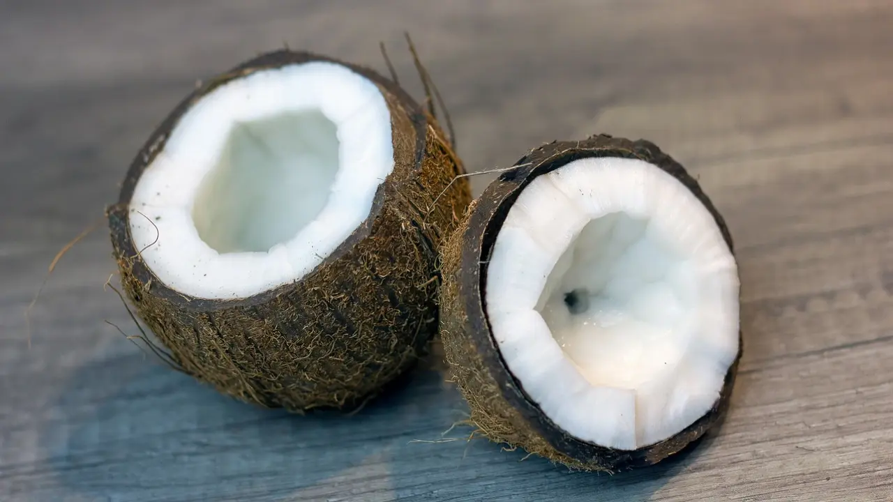 Blanc-Manger Coco : le jeu hilarant !