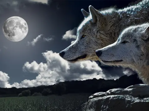 Les Loups-Garous de Thiercelieux : Décryptage d'un jeu culte