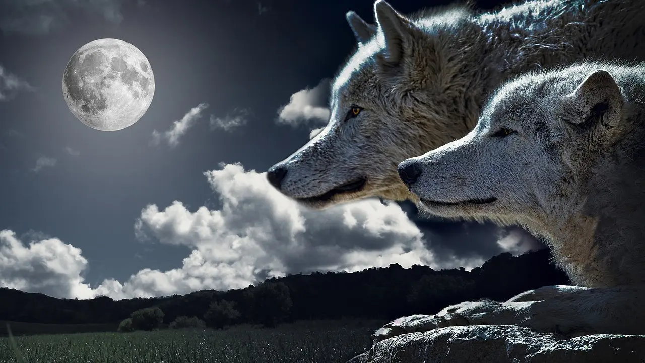 Les Loups-Garous de Thiercelieux : Décryptage d'un jeu culte