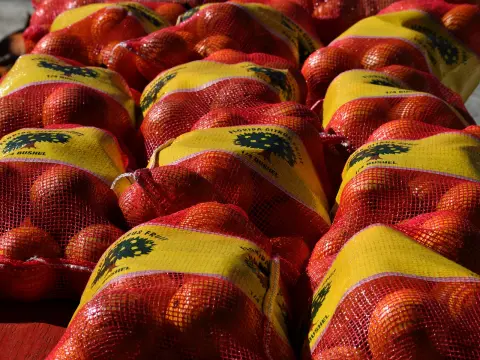 Jeu en extérieur : Course en sac