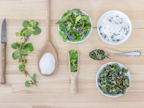 Century: Spice Road, un voyage épique à travers les épices exotiques