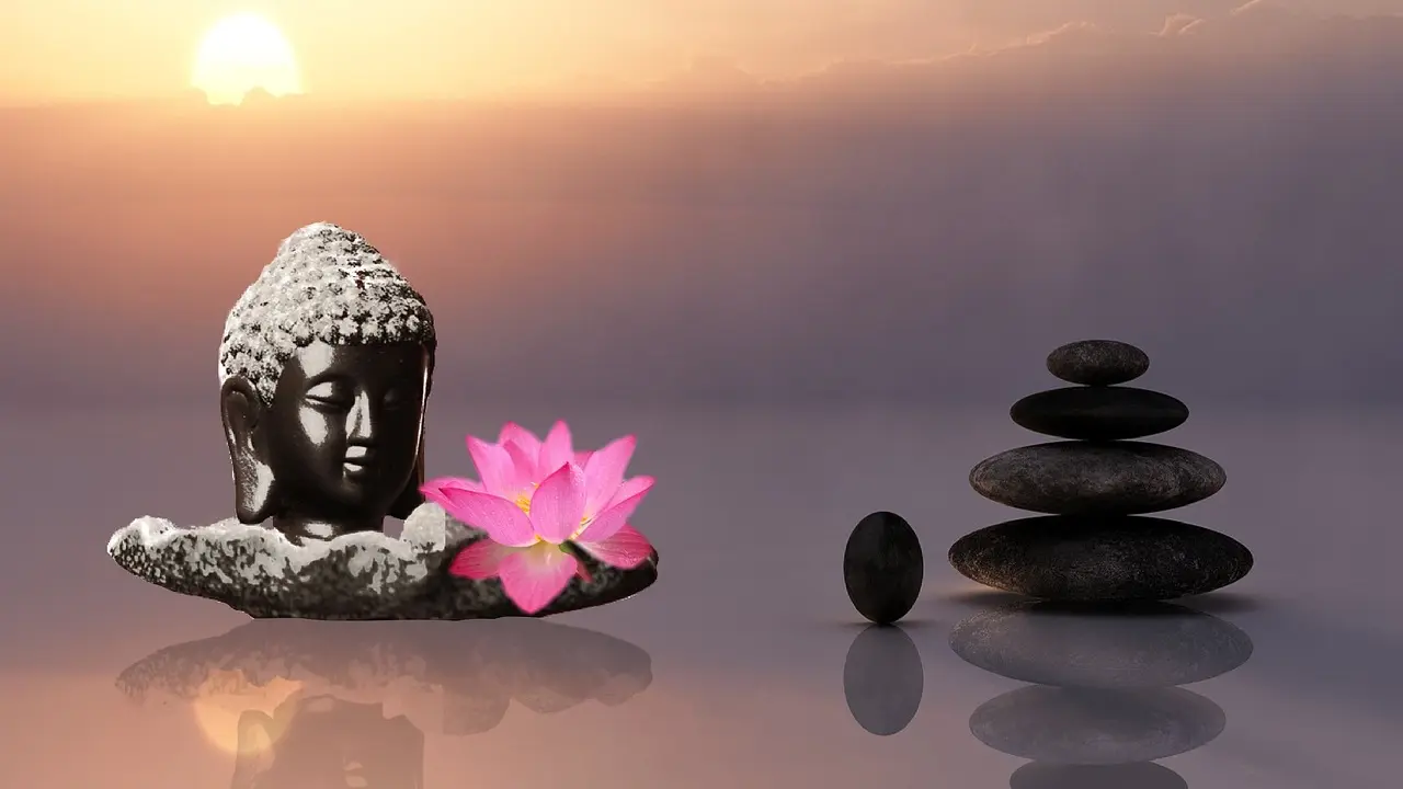 Takenoko : le jeu zen incontournable