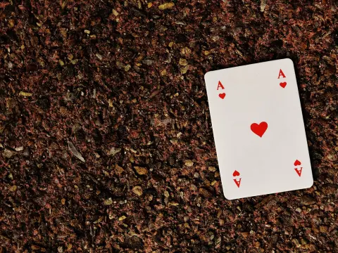Le Solitaire : concentration et patience