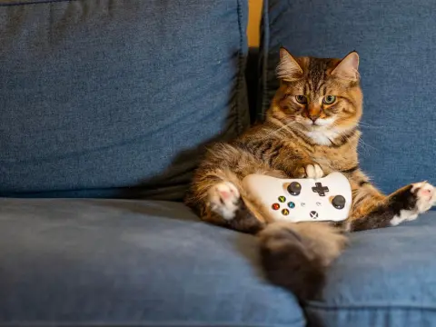 Les jeux solos pour les amateurs de jeux de simulation de vie