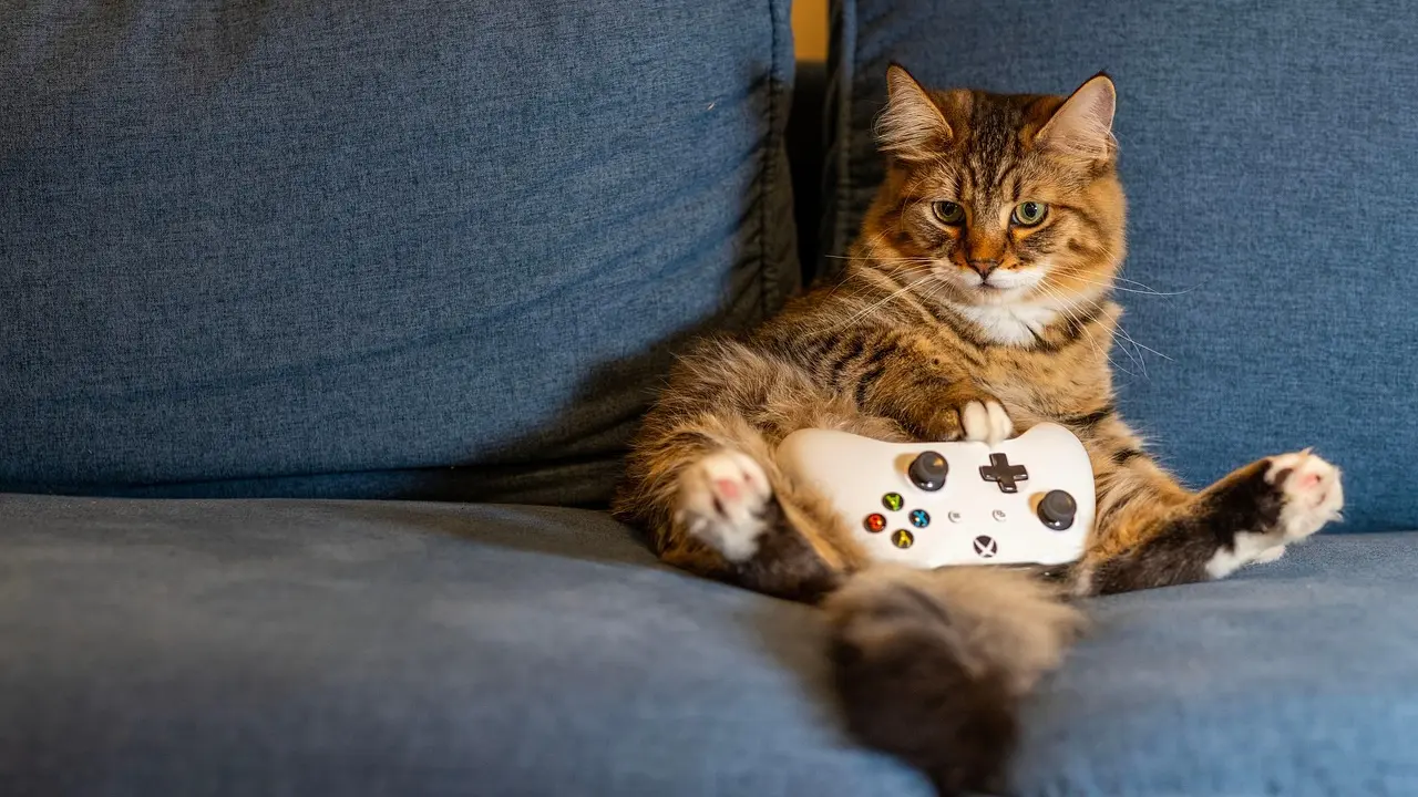 Jeux solo : immersion totale dans la vie virtuelle