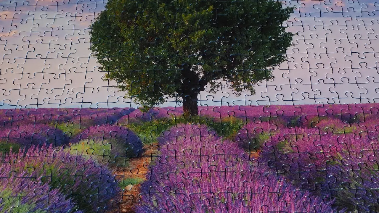 Les puzzles : un jeu solo